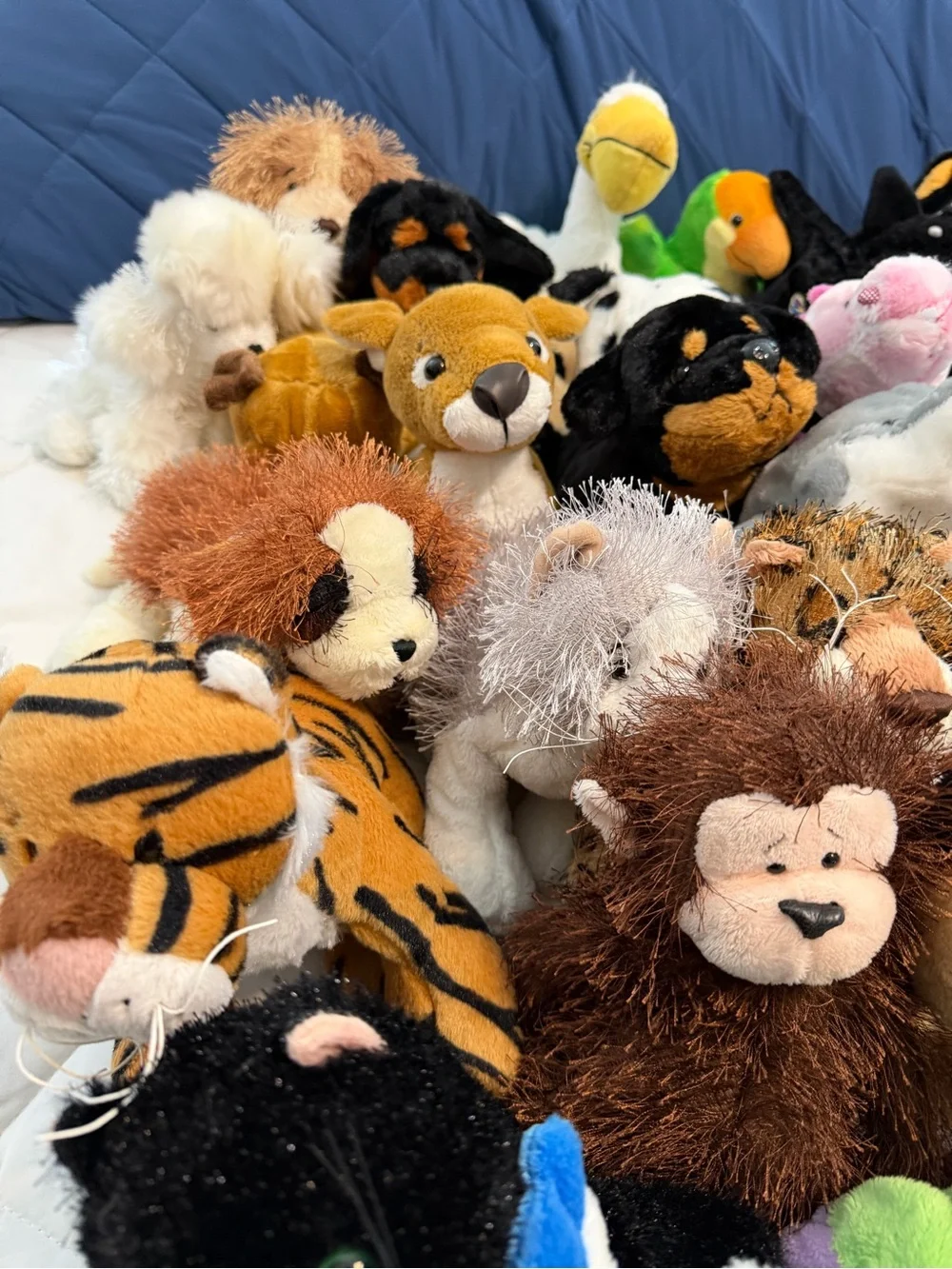 GANZ webkinz plush